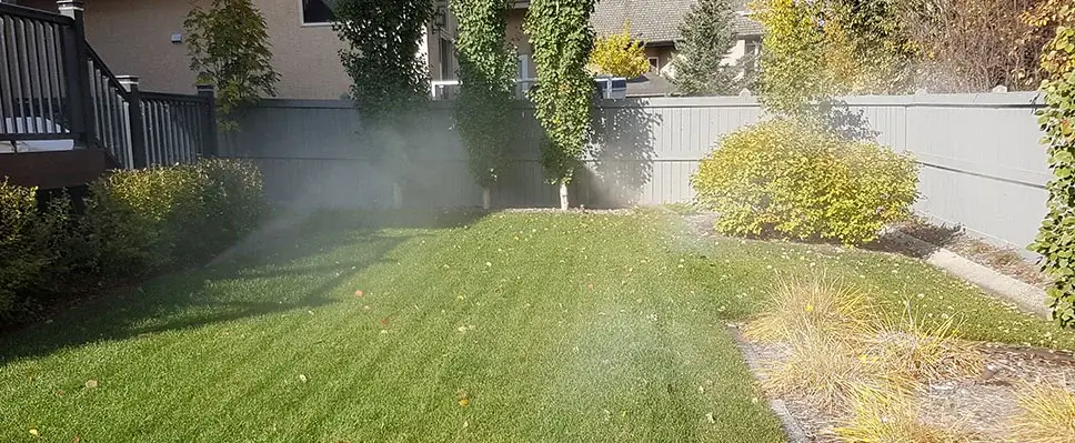 An automated underground sprinkler system watering a lush green lawn in a fenced Edmonton backyard.