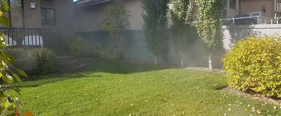 A residential backyard in Edmonton with an active automated sprinkler system misting water over a green lawn near a grey fence and yellow shrubs.