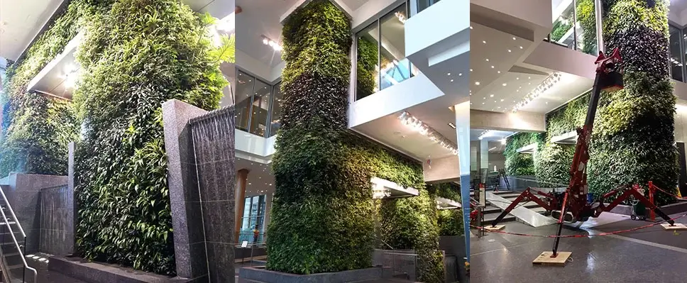 A collage showing three views of a massive multi-story indoor living wall being installed and maintained in a modern commercial lobby using a lift.