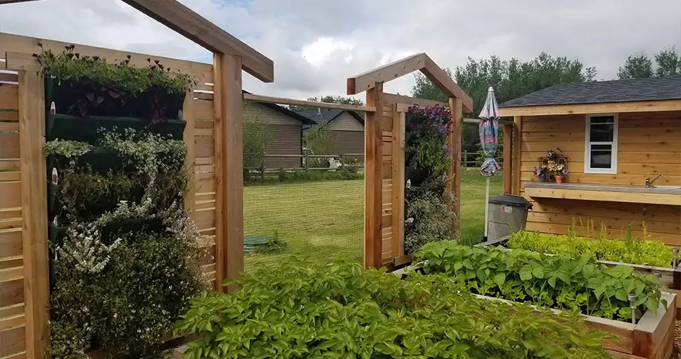 Backyard with raised garden beds and vertical gardens on wooden structures.