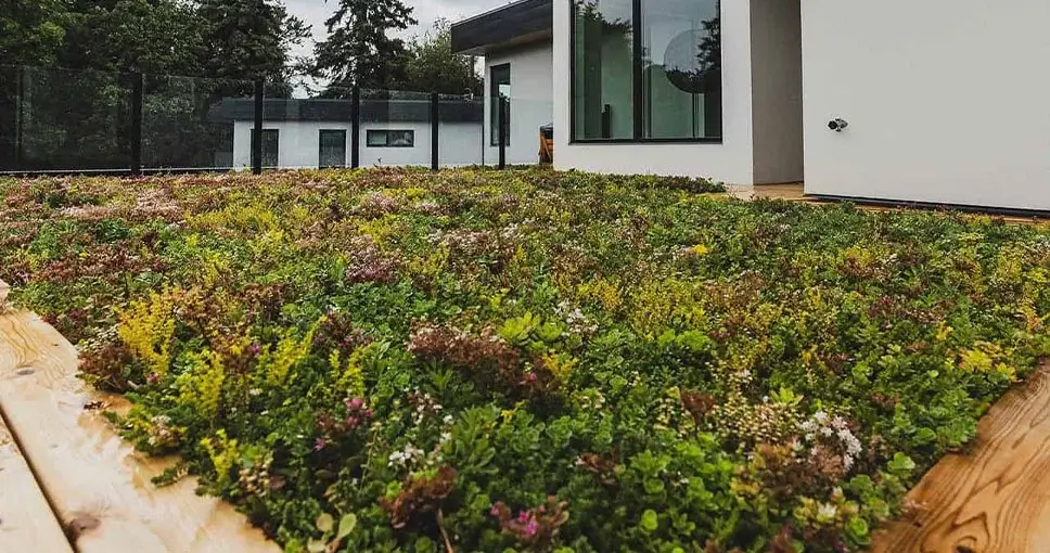 Green roof with various plants and flowers on a building.