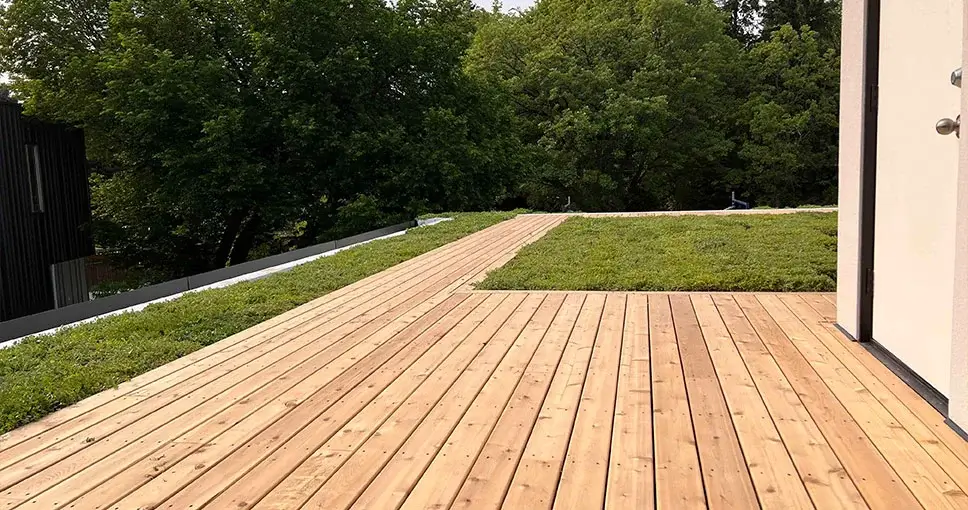 Wooden deck leading to a green roof with trees in the background.