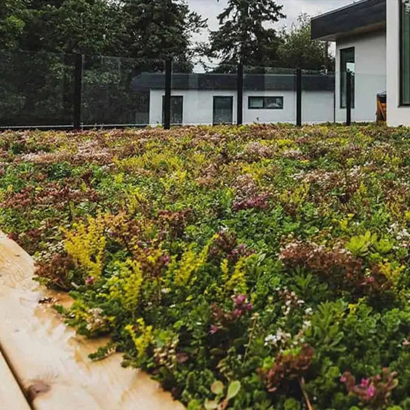 Green roof with various plants and flowers on a building.