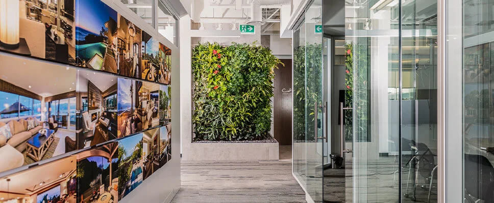 Edmonton office hallway with vertical green wall, framed photos, and glass meeting rooms.