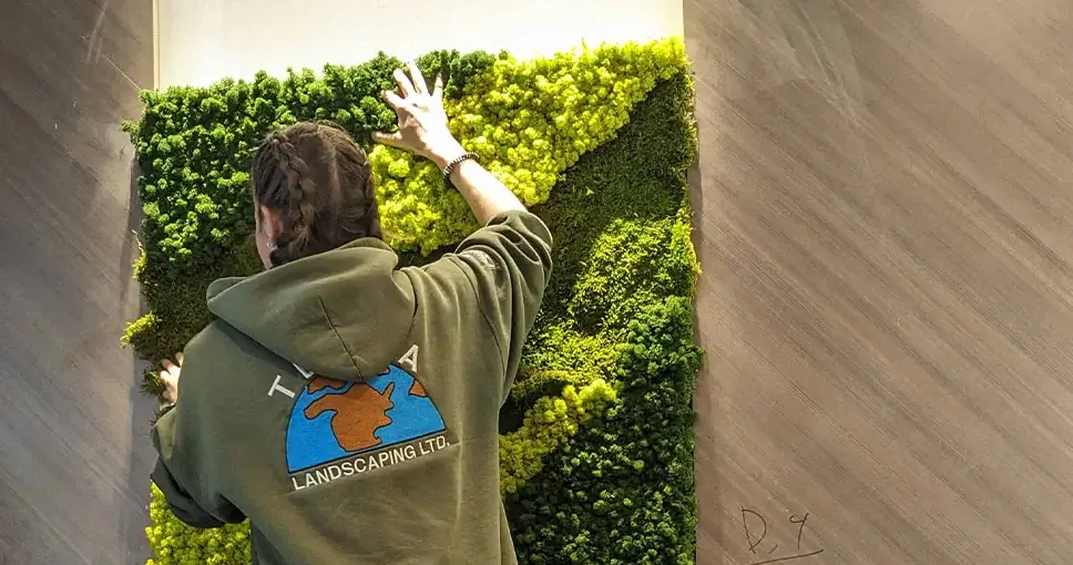 Landscaper installing a green moss wall.