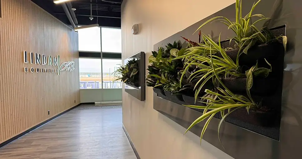 Wall-mounted planters with green plants in a modern hallway.