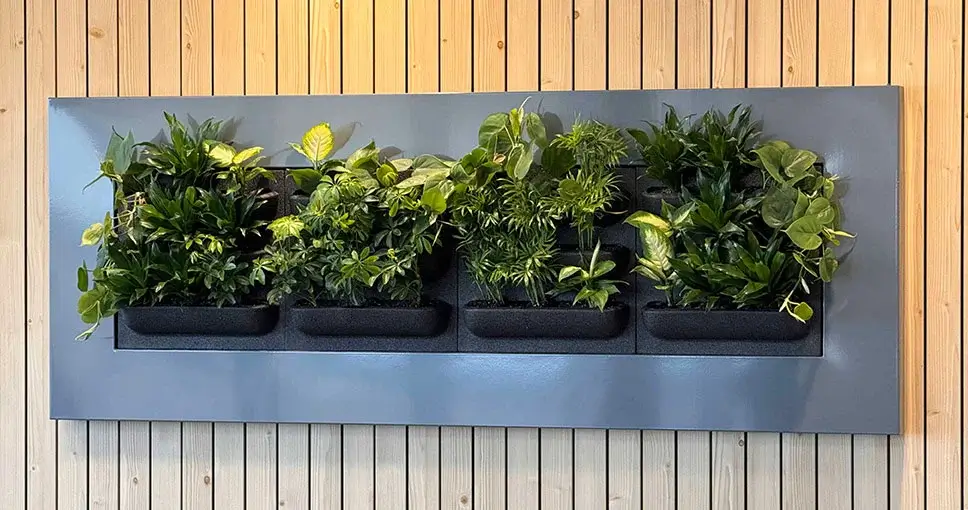 Indoor vertical garden with plants in four dark planters on wooden wall.