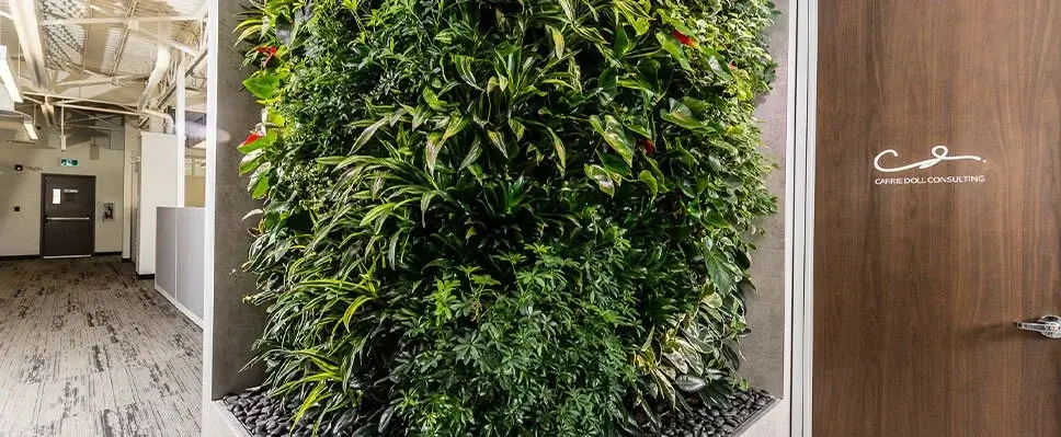 Indoor green wall Edmonton office hallway with lush plants, wooden panels, consulting firm signage
