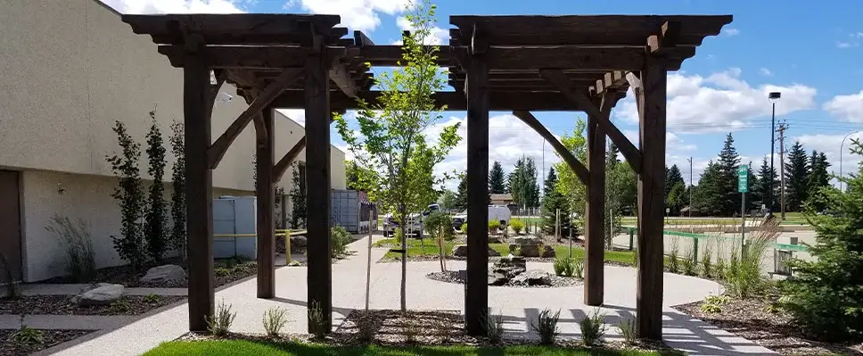 A large, dark-stained timber pergola with heavy beams and posts over a concrete walkway in a professionally landscaped area.