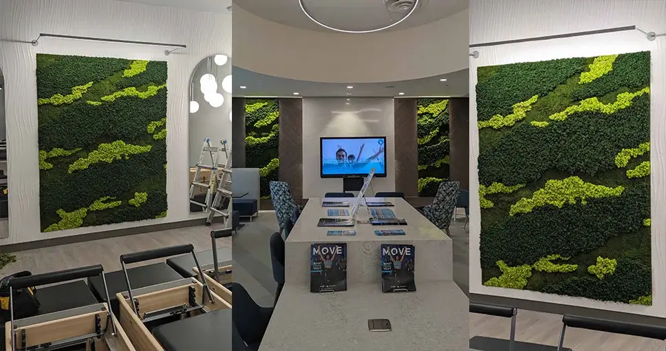 modern moss wall installation