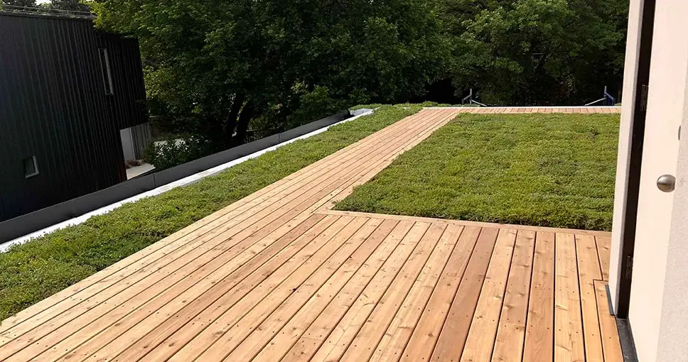 Wooden deck leading to a green roof with trees in the background.