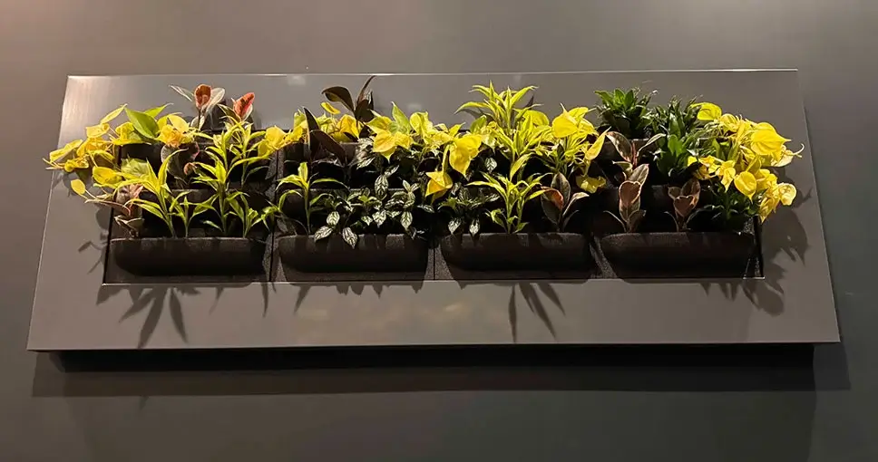 Wall-mounted planter with vibrant green and yellow plants.