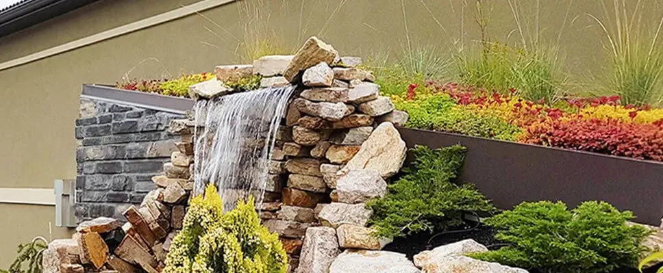 A beautiful backyard water feature with a natural stone waterfall flowing beside a vibrant sedum green roof installation.