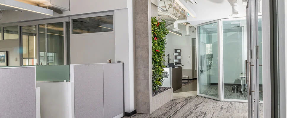 Edmonton office interior with vertical green wall, cubicles, and glass meeting room.