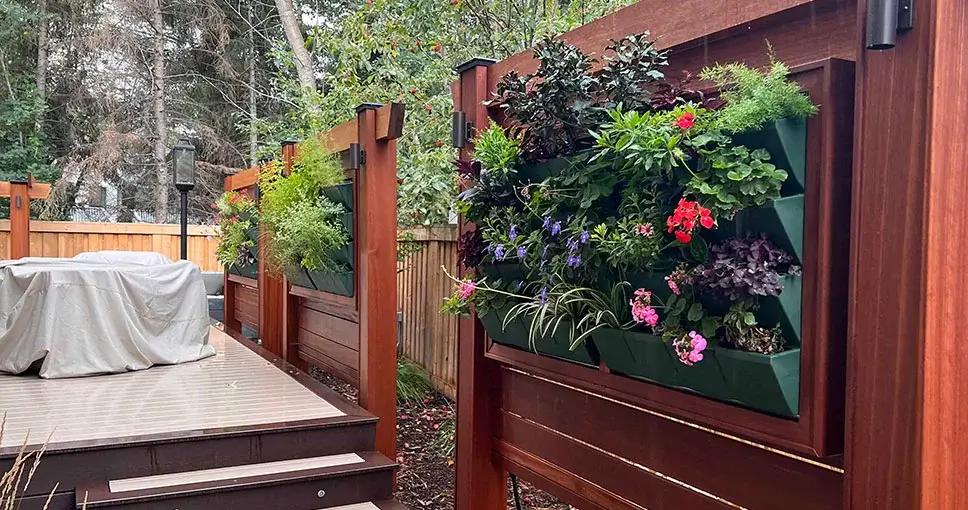 Vertical gardens on wooden fence with various plants and flowers.