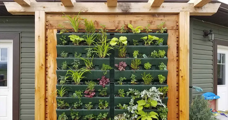 Vertical garden with plants in green pockets on wooden frame.