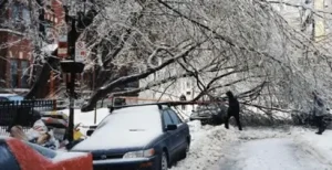 Ice-covered tree branches fallen over a parked car and blocking a snowy residential street after a severe ice storm.