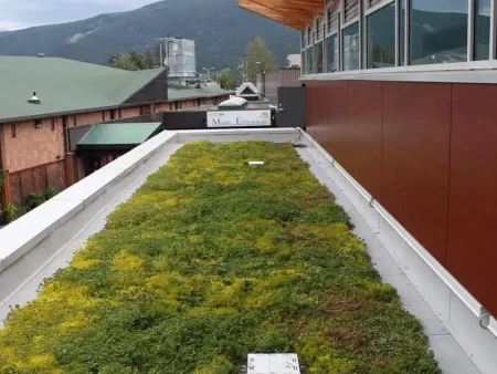 Green roof with sedum plants on modern building by Edmonton structural landscaping experts