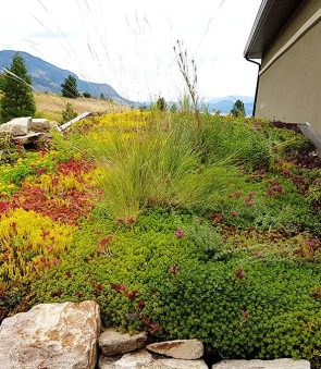 Colorful green roof garden with native plants by Landscaping in Edmonton