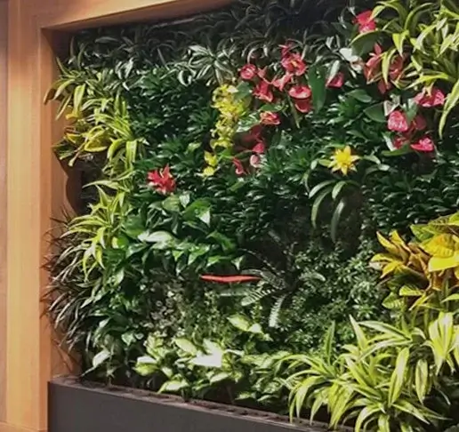 Indoor living walls edmonton with flowering plants wooden frame black base and vertical garden design for air quality