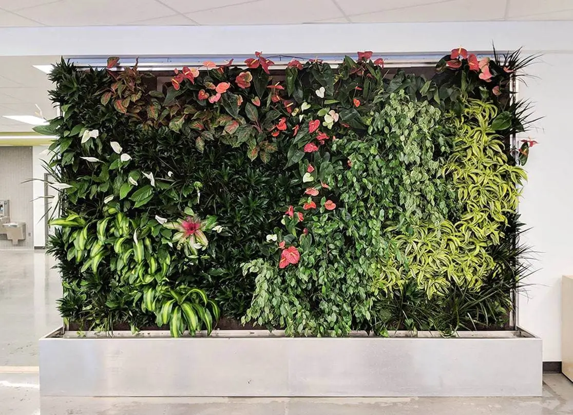 Large interior living wall with diverse green plants installed in a commercial space