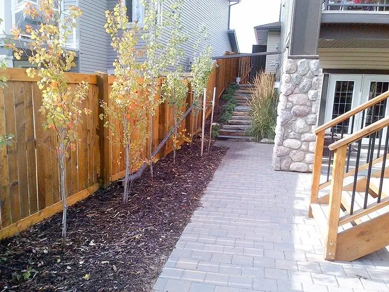 Paved walkway with autumn trees, mulch beds, and stone steps—part of residential landscape construction Edmonton