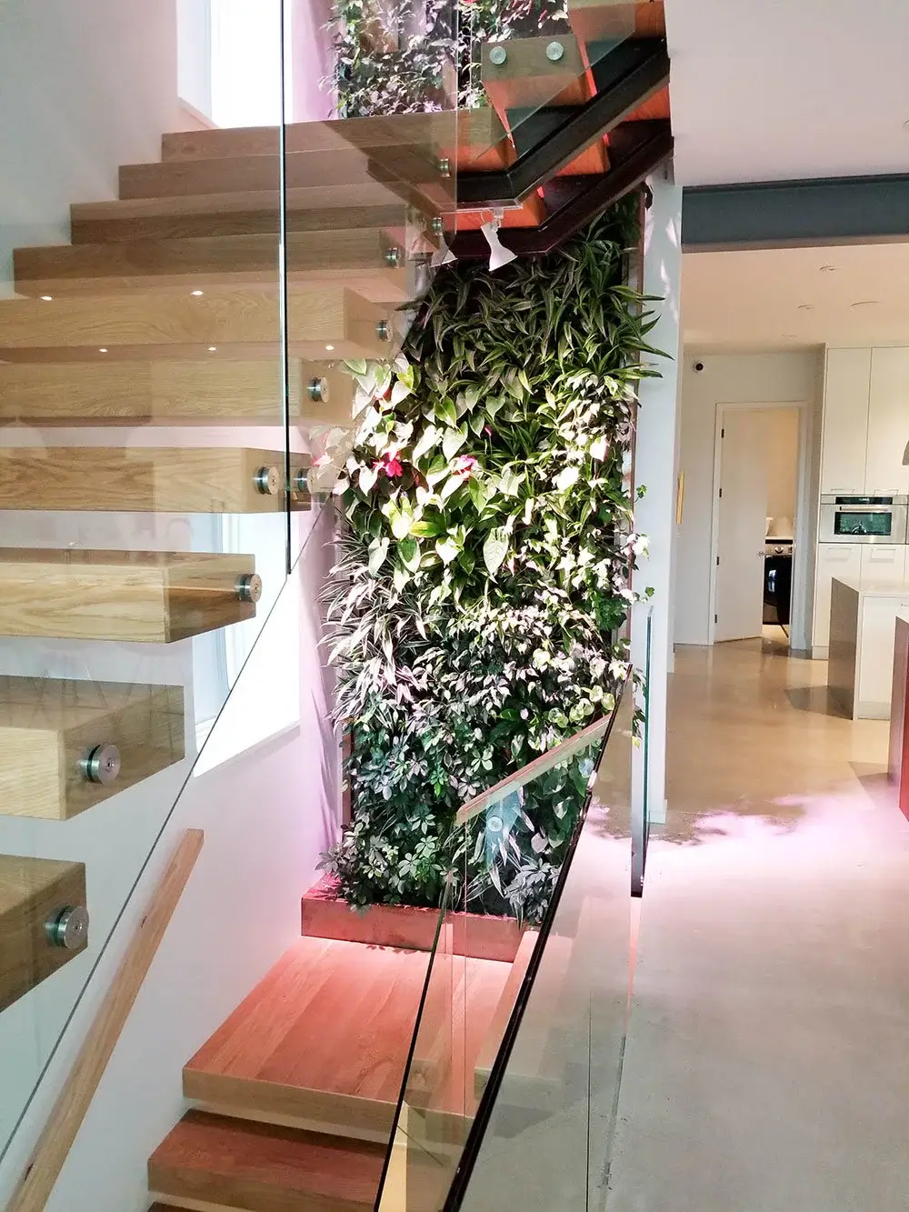 modern staircase with vertical garden wall in edmonton home featuring wooden steps glass railing and biophilic design