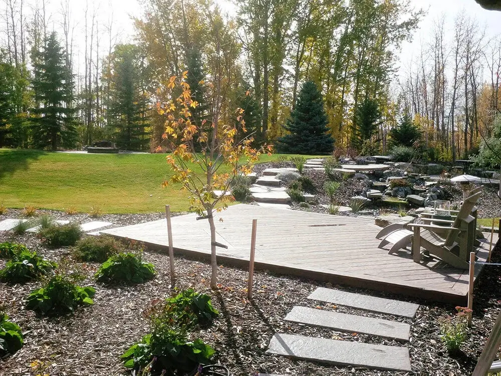 Fall backyard landscaping Edmonton with wooden deck, stone pathway, mulched garden bed, and autumn trees.