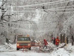 Workers clearing fallen branches after an ice storm on a snowy street.