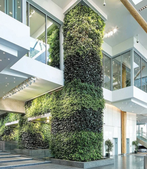 Indoor vertical garden walls in a modern commercial space by landscape in Edmonton