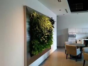 Side view of a large, lush vertical living wall with a modern silver metal frame installed in a contemporary office breakroom.