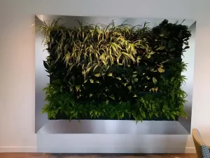 A large indoor living wall featuring diverse tropical plants and ferns, enclosed in a modern brushed-metal frame on a white wall.