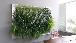 Large framed indoor living wall with ferns, spider plants, and calatheas in a modern office.
