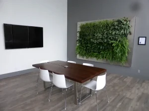 Framed indoor living wall featuring a lush mix of ferns and foliage installed in a modern office conference room with a wooden table and white chairs.