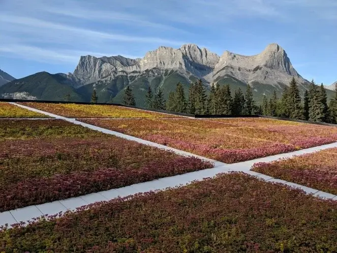 An extensive commercial green roof with a patchwork of red and green sedum plants, framed by paths, with a large, rocky mountain range in the background.