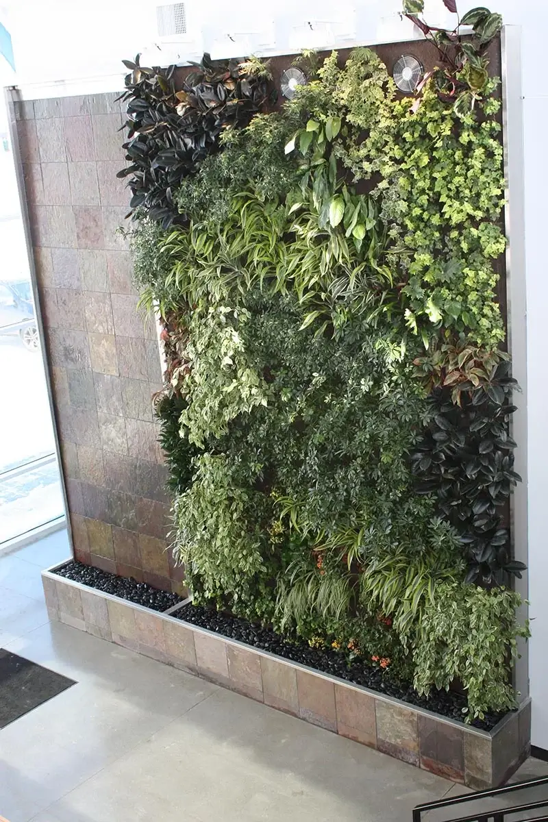 A large indoor vertical living wall with diverse green foliage installed next to a stone tile water feature.