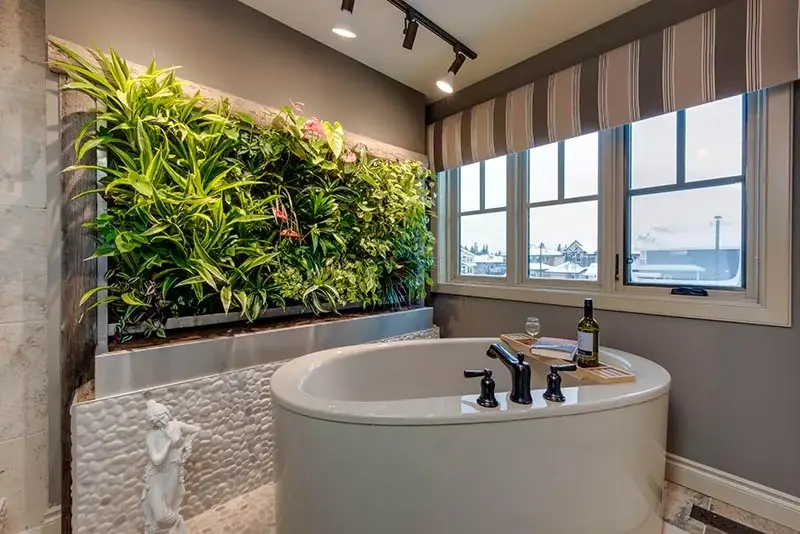 Living Walls Edmonton