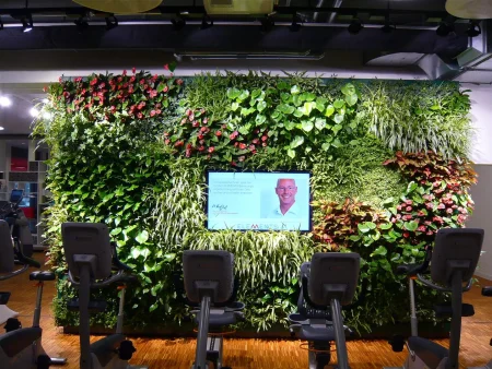 A lush indoor vertical garden wall with diverse green and red plants surrounding a digital screen in a gym setting.
