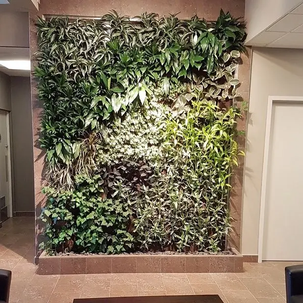 A lush vertical living wall with various green plants inside a modern office lobby.