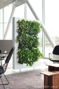 A white free-standing vertical living wall divider with lush green plants in a bright, modern office lobby.