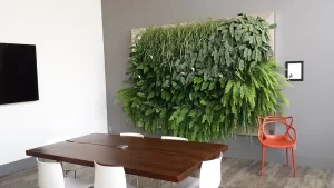 Large framed indoor living wall featuring ferns and lush greenery in a modern office conference room.