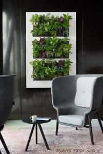 A white-framed vertical garden with three sections of tropical plants mounted on a dark wall behind a grey designer chair.