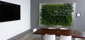 Framed indoor living wall with diverse green plants in a modern office meeting room with a wooden table
