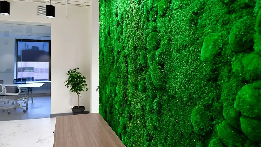 Living Walls Edmonton
