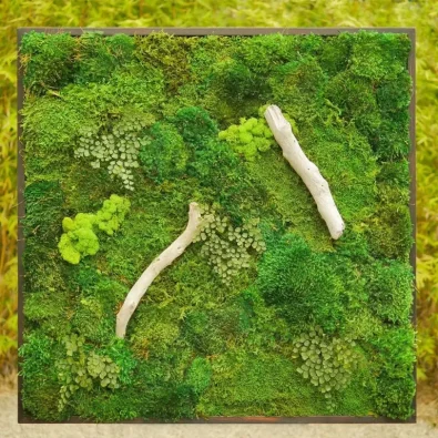 A square preserved moss wall art piece featuring different textures of green moss, small ferns, and natural white driftwood branches.