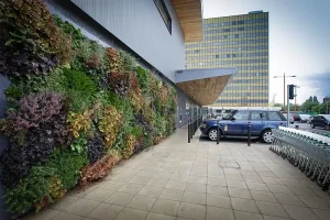 A vibrant outdoor living wall with various plant species installed on the facade of a modern retail building near a parking lot.