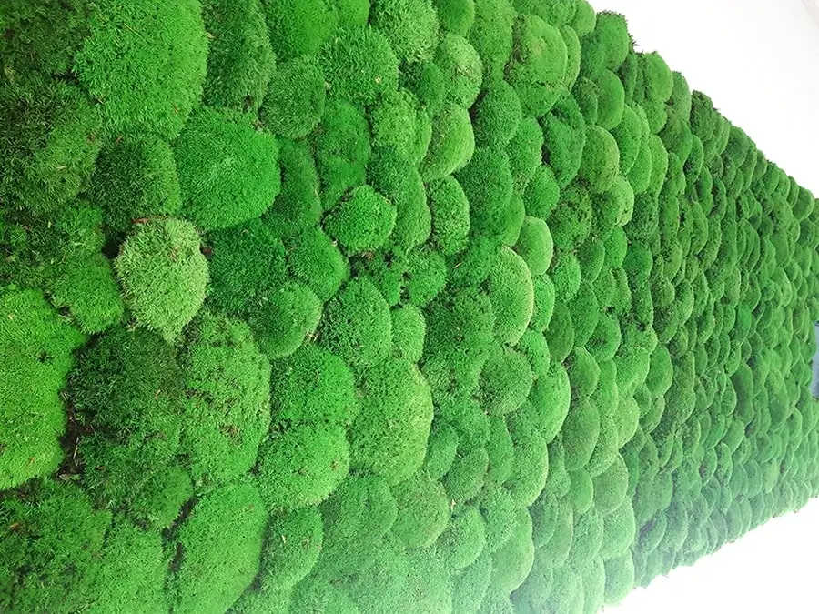 Close-up view of lush, vibrant green preserved pole moss showing rich organic textures and rounded cushion shapes.