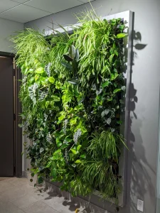 Lush indoor living wall with various green plants.