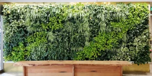 Wide vertical green wall with lush plants behind a wooden bench.