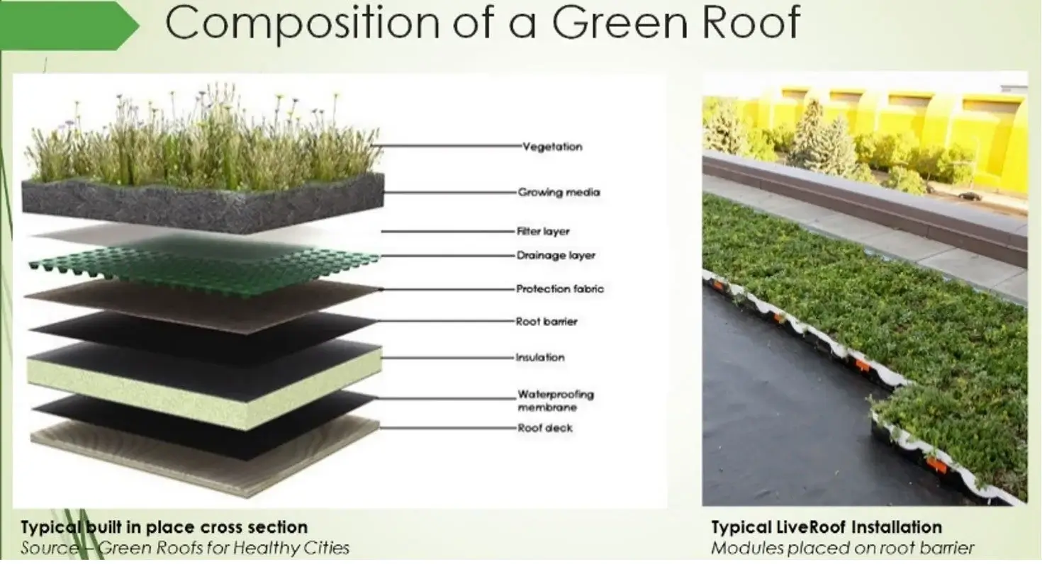 Green Roofs Edmonton